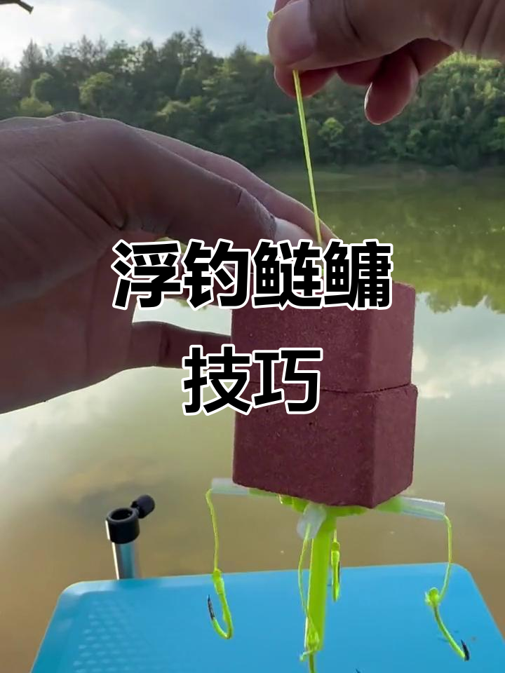 海竿钓淡水技巧(海竿钓淡水技巧图解)