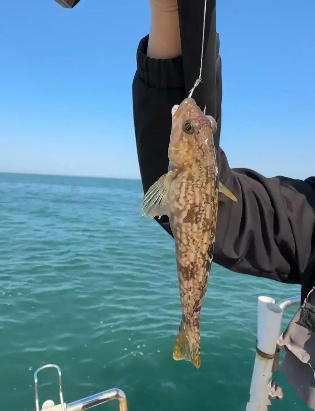 威海赶海钓鱼(威海赶海收费的地方)