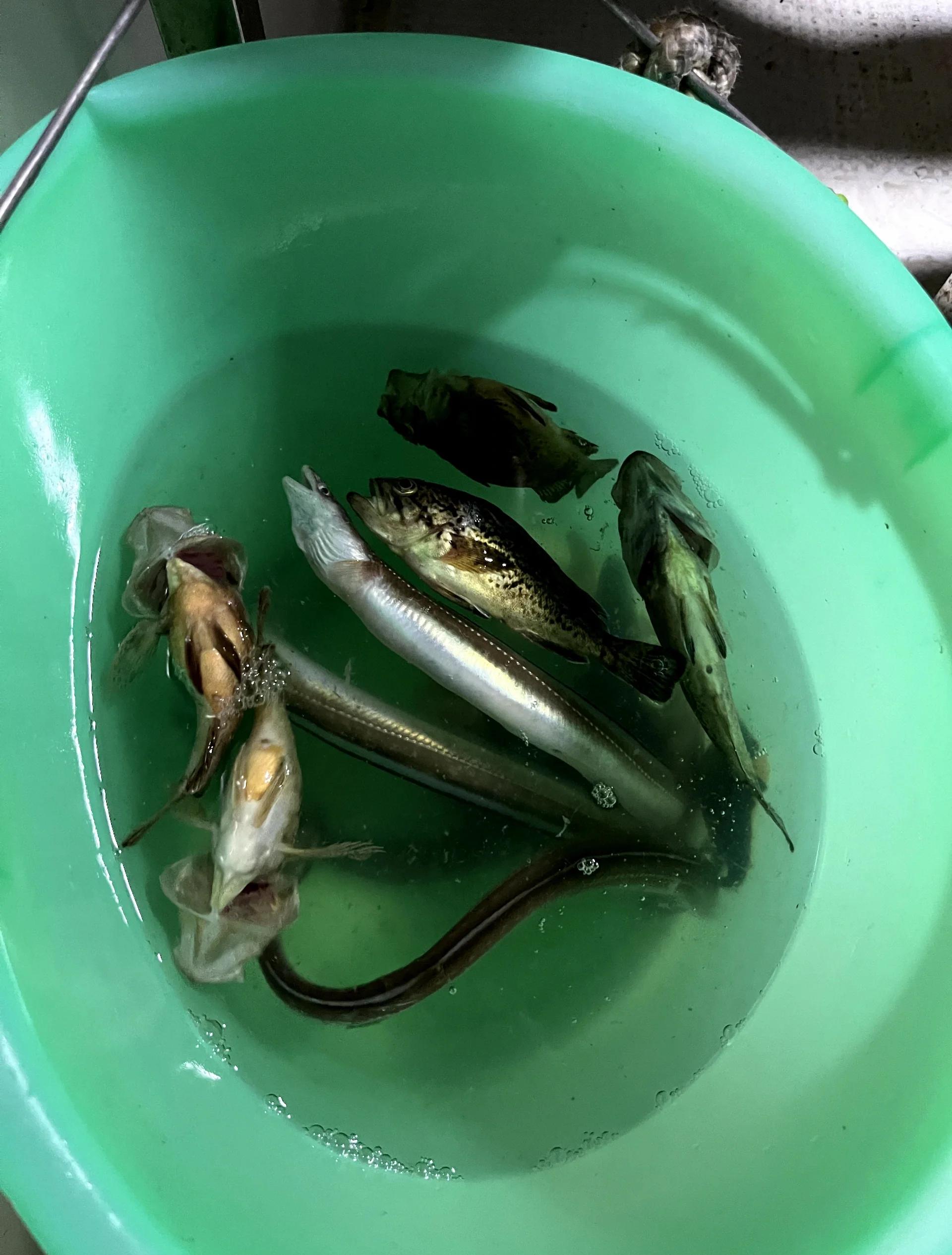 威海赶海钓鱼(威海赶海收费的地方)