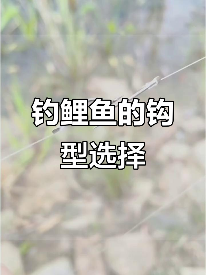 黑坑钓鲤鱼摘钩技巧(黑坑钓鲤鱼摘钩技巧视频)