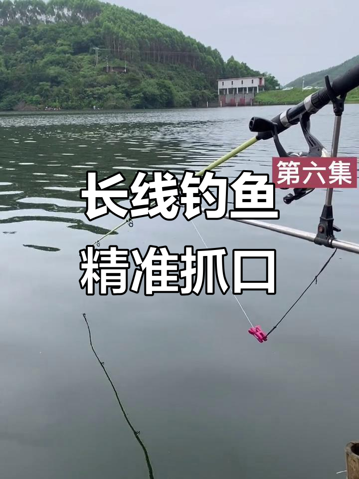 长竿长线钓鱼技巧(长竿长线的优点)