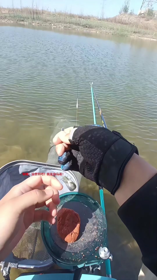 秋季手竿钓白条技巧(秋季手竿钓白条技巧图解)