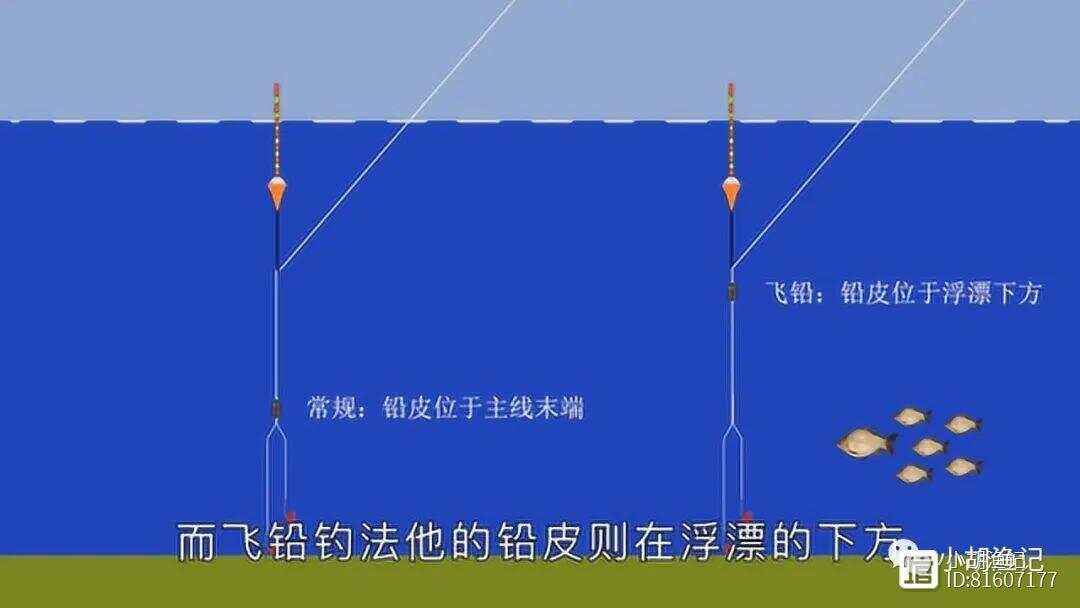 秋季手竿钓白条技巧(秋季手竿钓白条技巧图解)