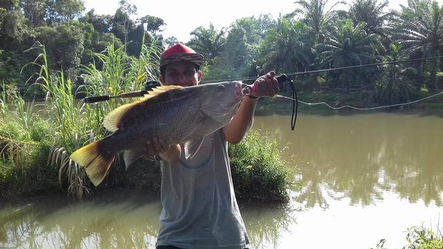 湄公河路亚(湄公河流域地图)