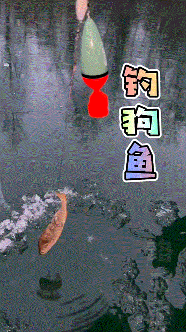 路亚狗鱼的技巧(路亚狗鱼用沉饵还是浮饵)