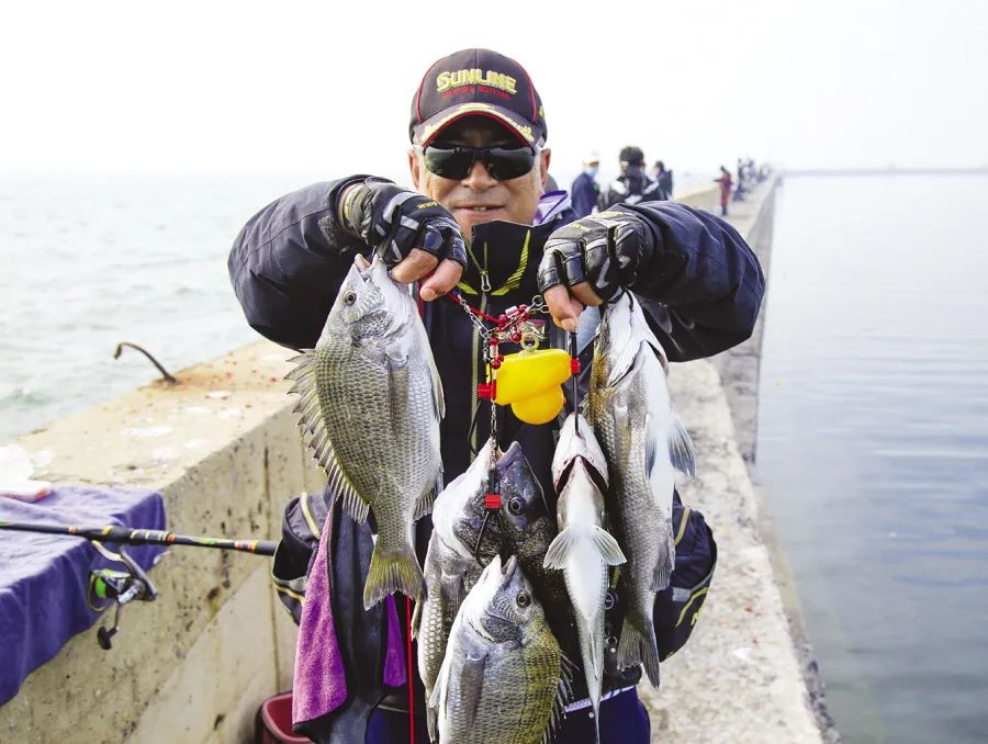 滨州无棣海钓(滨州无棣市场监管局)