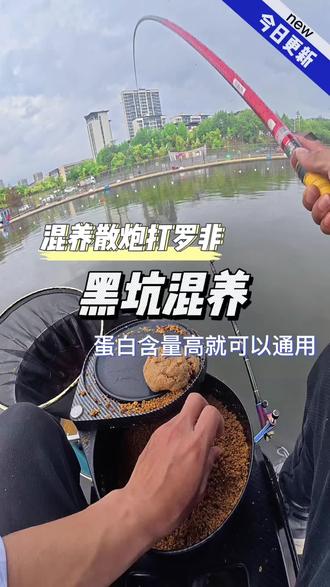 黑坑钓混养技巧(黑坑钓混养的饵料技巧和实战经验)
