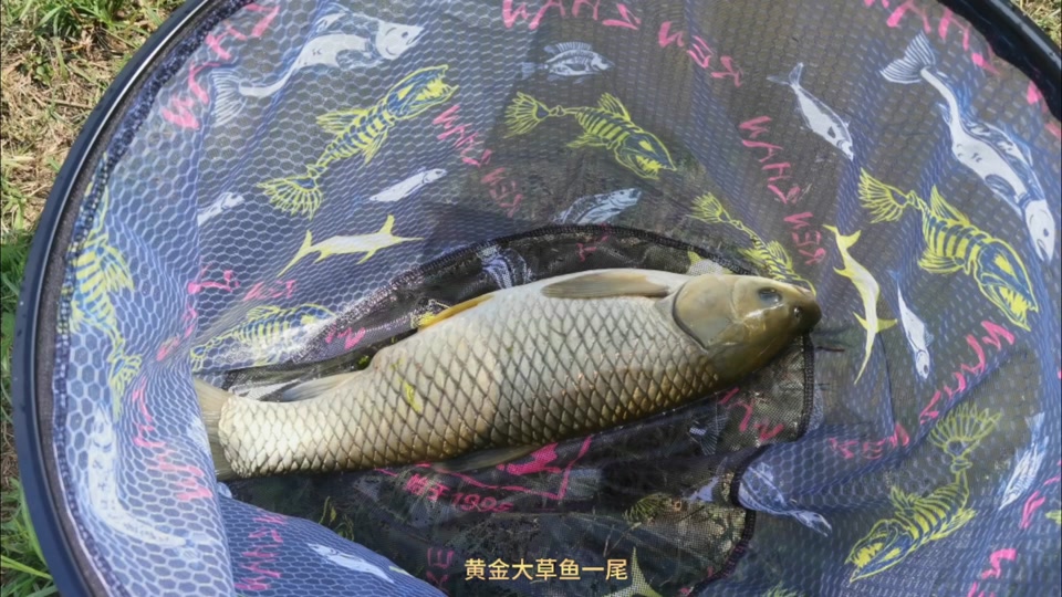 包翘嘴技巧(钓翘嘴怎么绑钩)