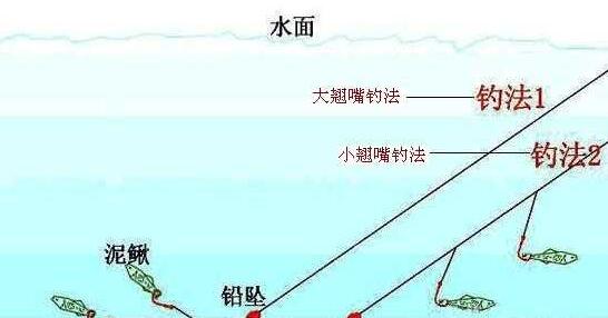 钓鱼方法技巧视频教程(钓鱼小技巧视频)