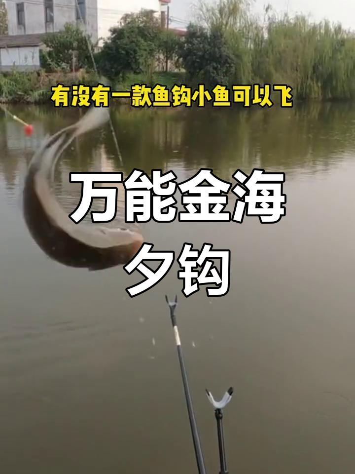 海钓钩对比(海钓钩什么牌子好)