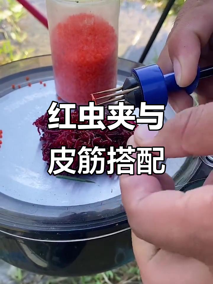 红虫夹挂钩技巧(用红虫夹是不是好钓) 红虫夹挂钩技巧(用红虫夹是不是好钓)