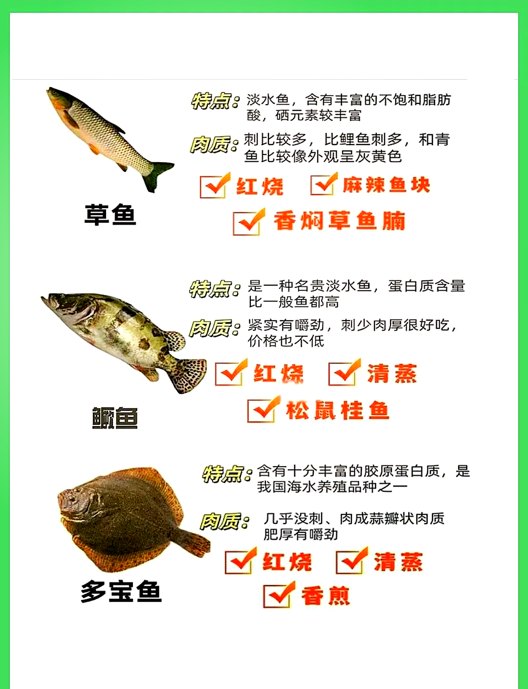 黑坑钓草鱼鲤鱼技巧(黑坑钓草鱼怎么选钓位)