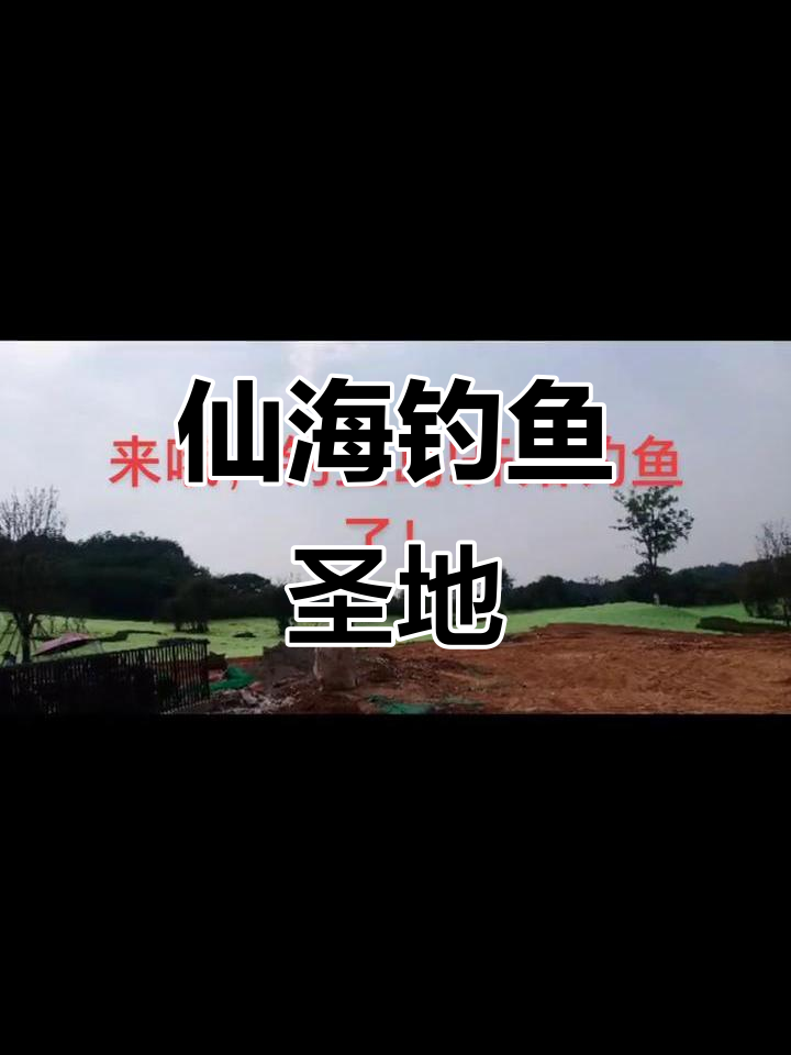 仙海钓鱼酒店(仙海钓点)