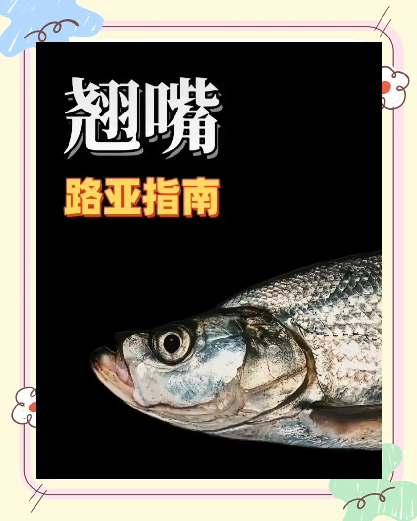 红尾鱼路亚怎么钓(路亚红尾鱼用什么钓最好)