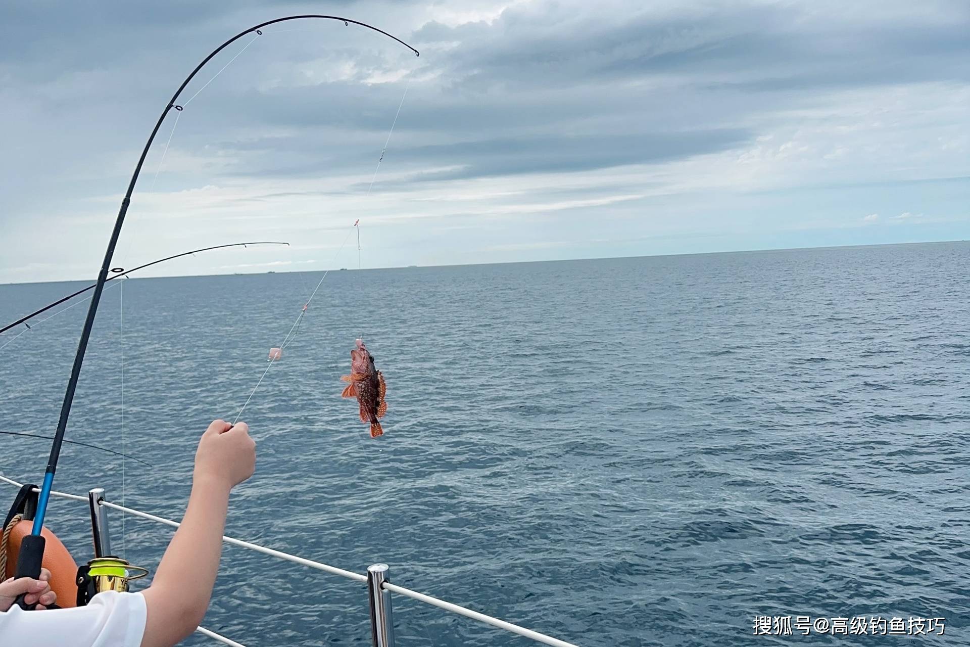 天津什么潮水适合海钓(天津海边几点涨潮)