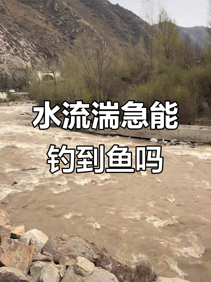 急流中钓鱼技巧(钓鱼急流钓鱼技巧)