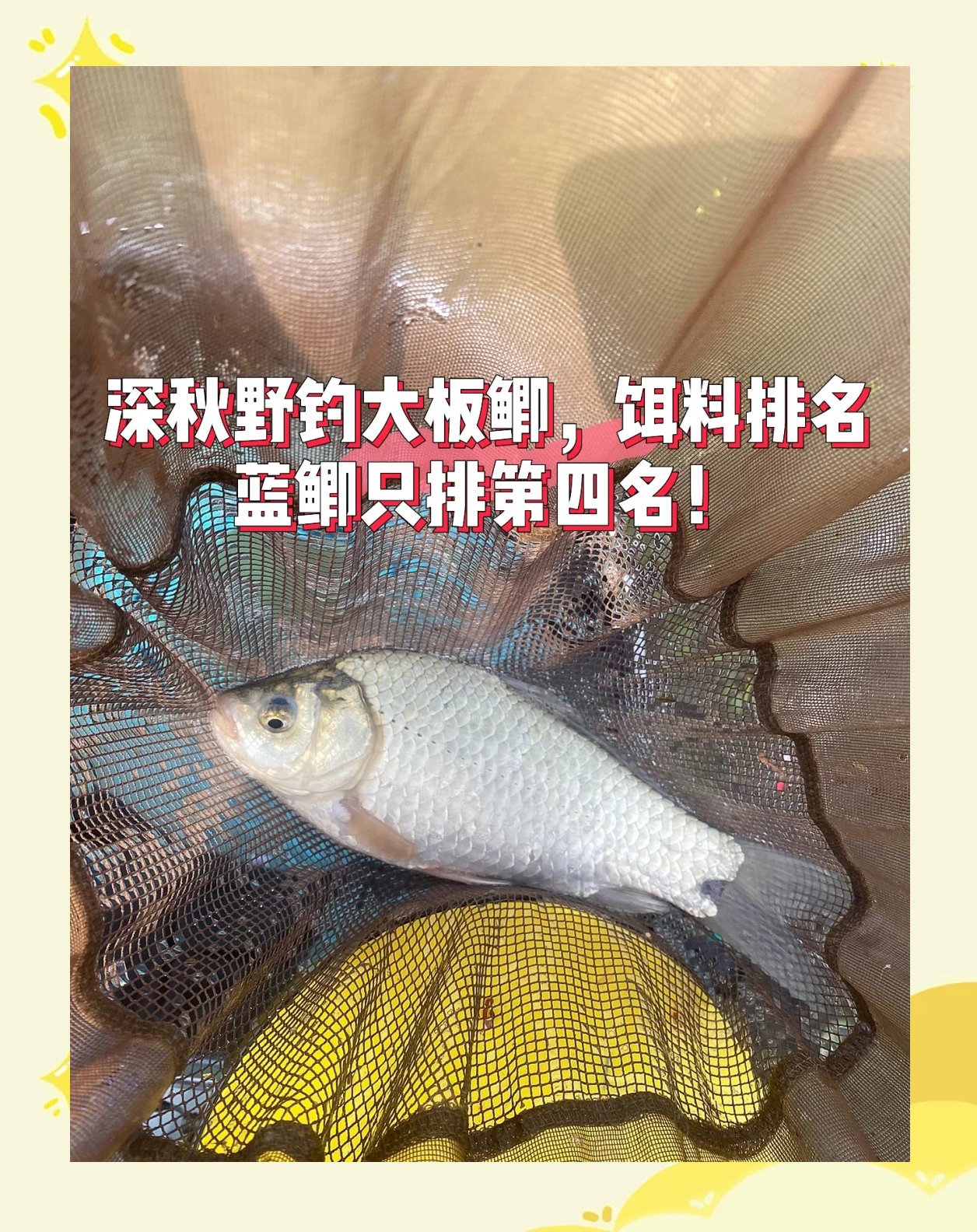 深秋怎么饵料配方(深秋用什么饵料钓鱼)