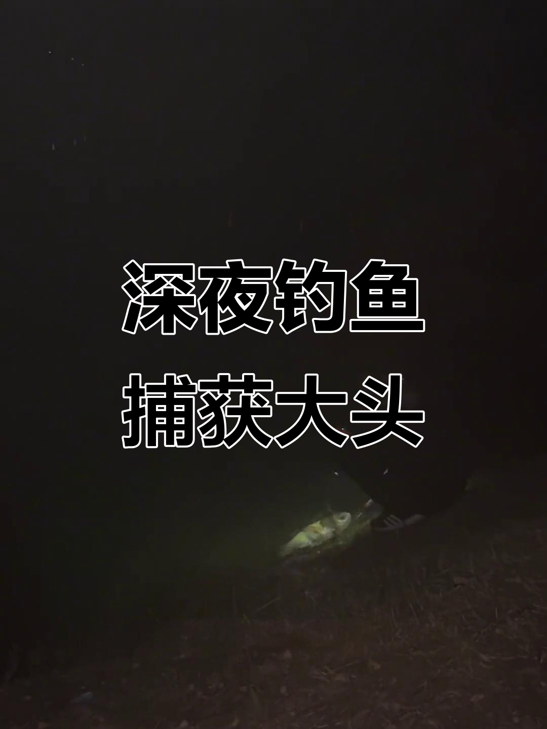 水库抛竿夜钓鲢鱼技巧(水库夜钓鲢鳙钓底还是钓浮) 水库抛竿夜钓鲢鱼技巧(水库夜钓鲢鳙钓底还是钓浮)