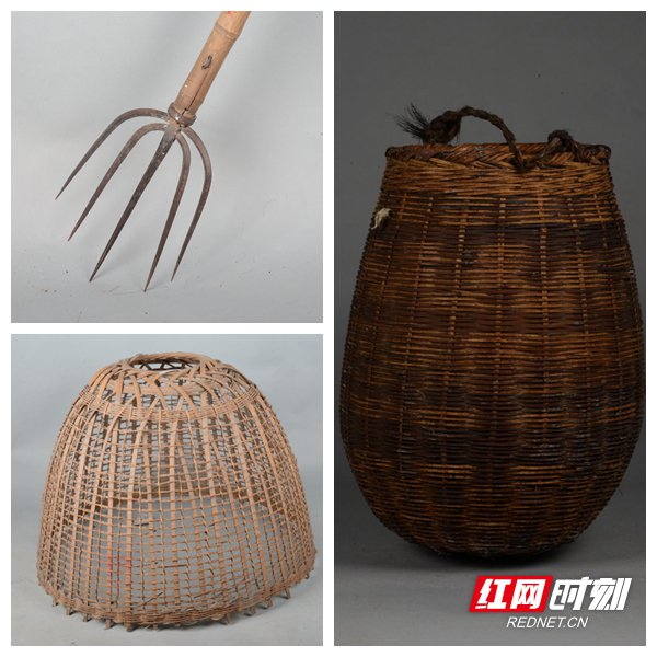 南部县渔具(南部县楼盘都有哪些)