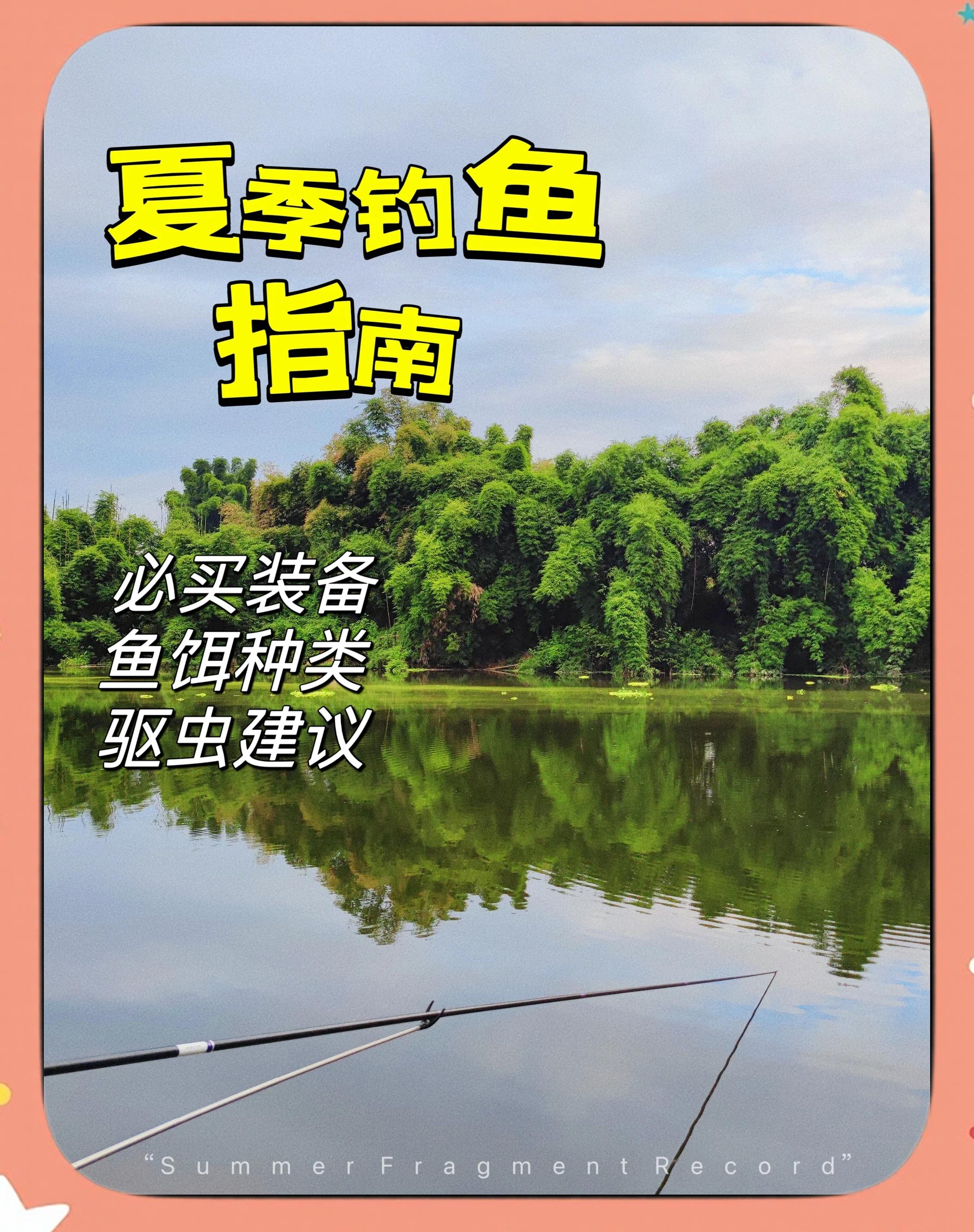 夏天饵料的选择(夏天鱼饵怎么调配)