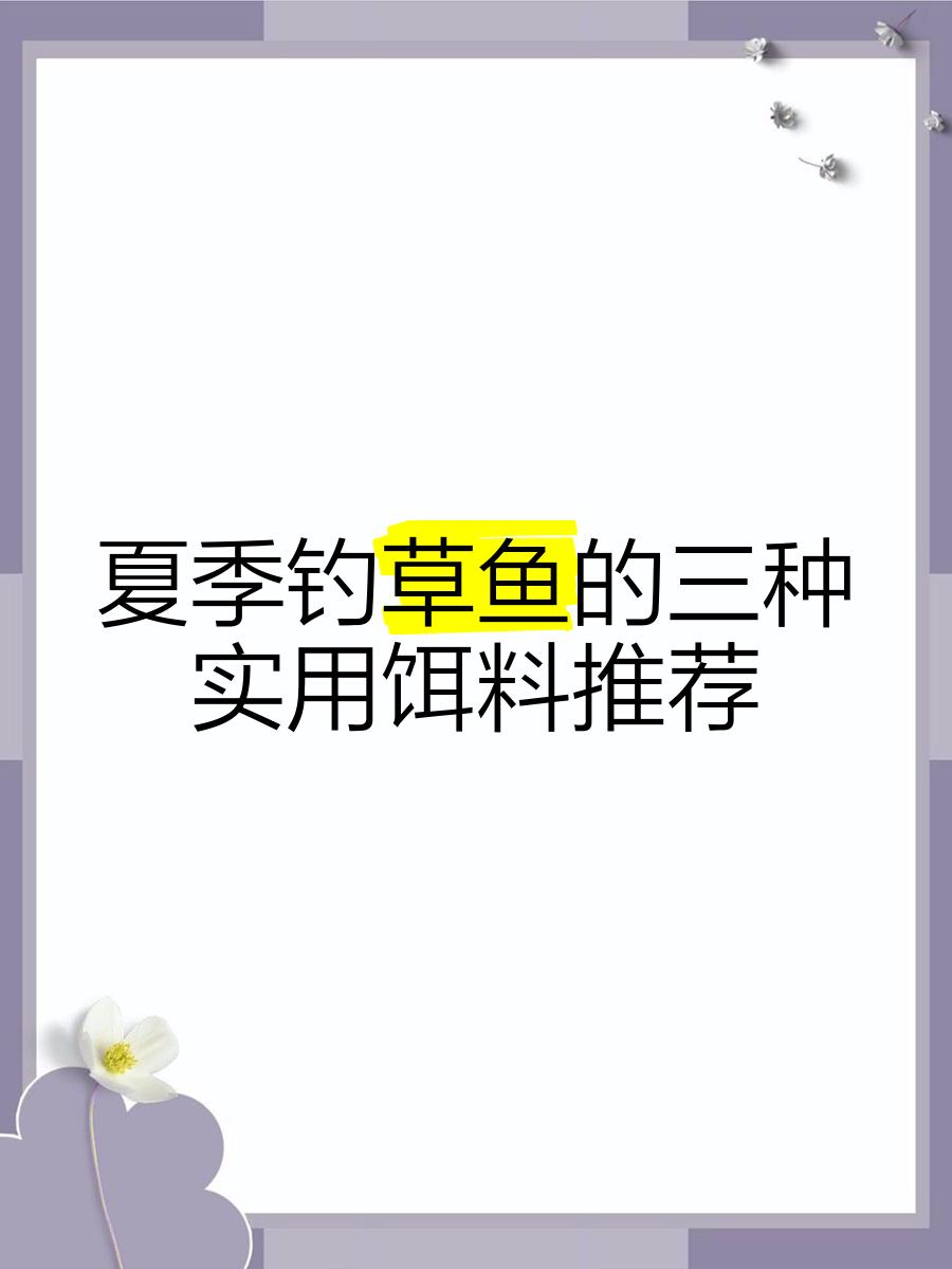 夏天饵料的选择(夏天鱼饵怎么调配)