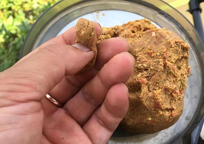 钓鲫鱼面粉饵料(面粉钓鲫鱼配方)