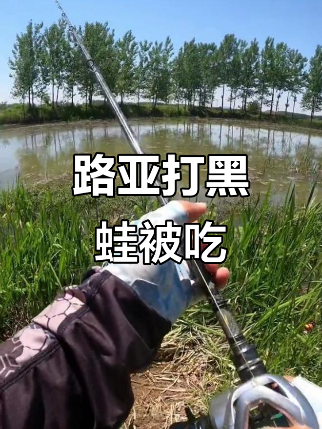 路亚黑鱼控蛙技巧(路亚黑鱼有什么技巧) 路亚黑鱼控蛙技巧(路亚黑鱼有什么技巧)