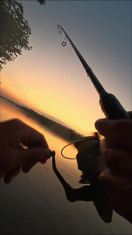 宁波路亚吧(宁波路亚鱼种)