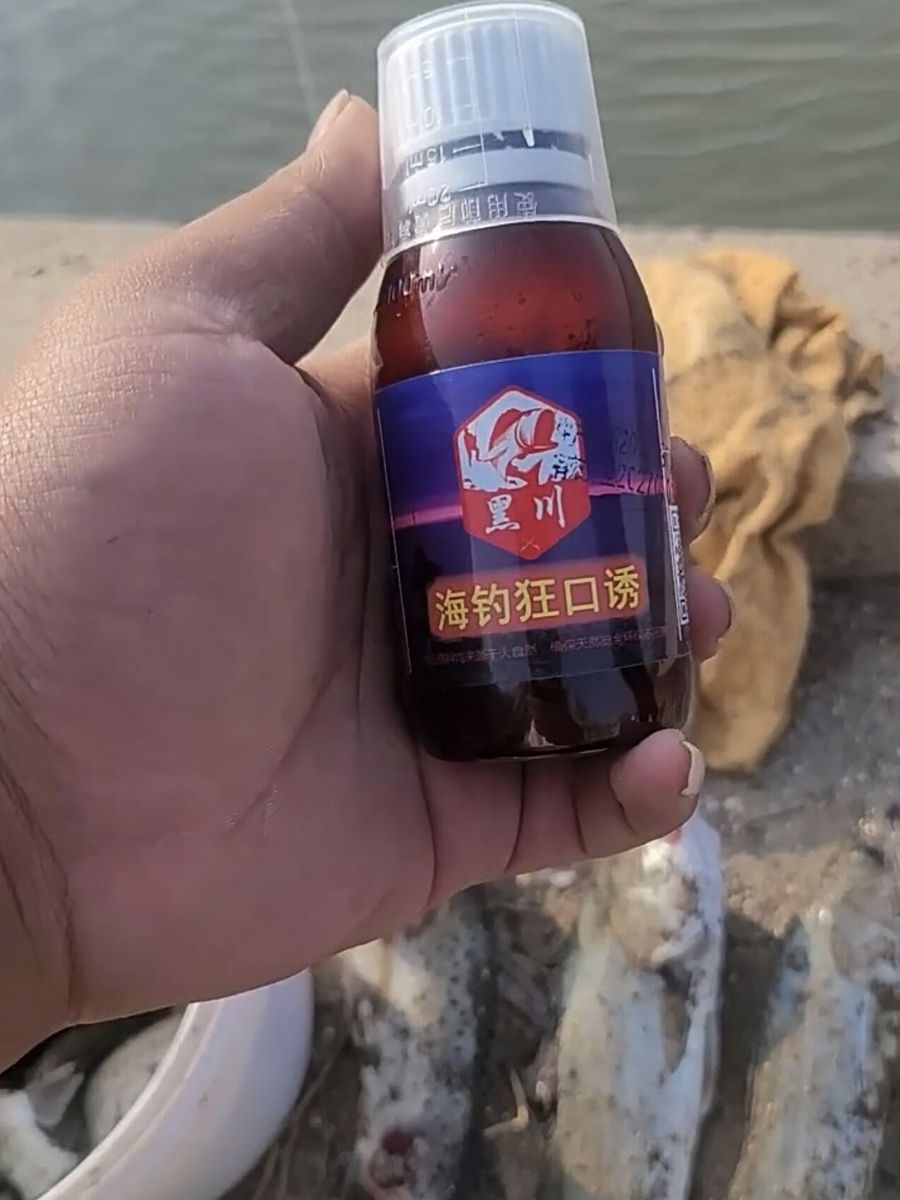 岸边海钓饵(岸边海钓技巧大全)