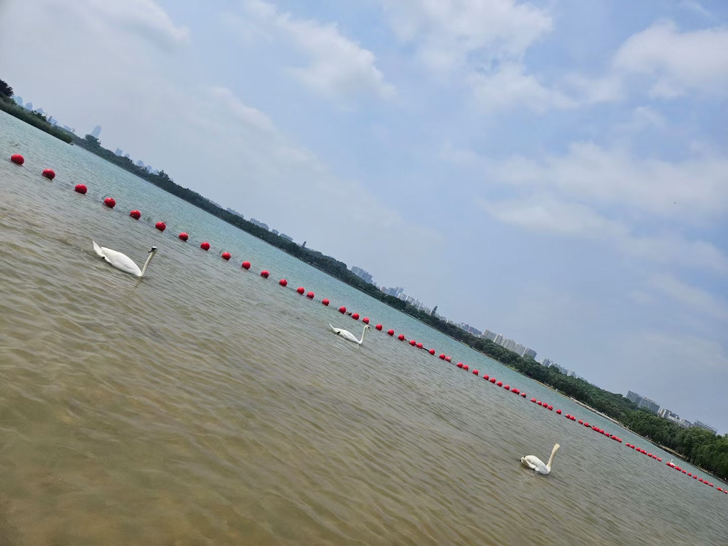 嘉定路亚鱼塘(上海嘉定路亚群)