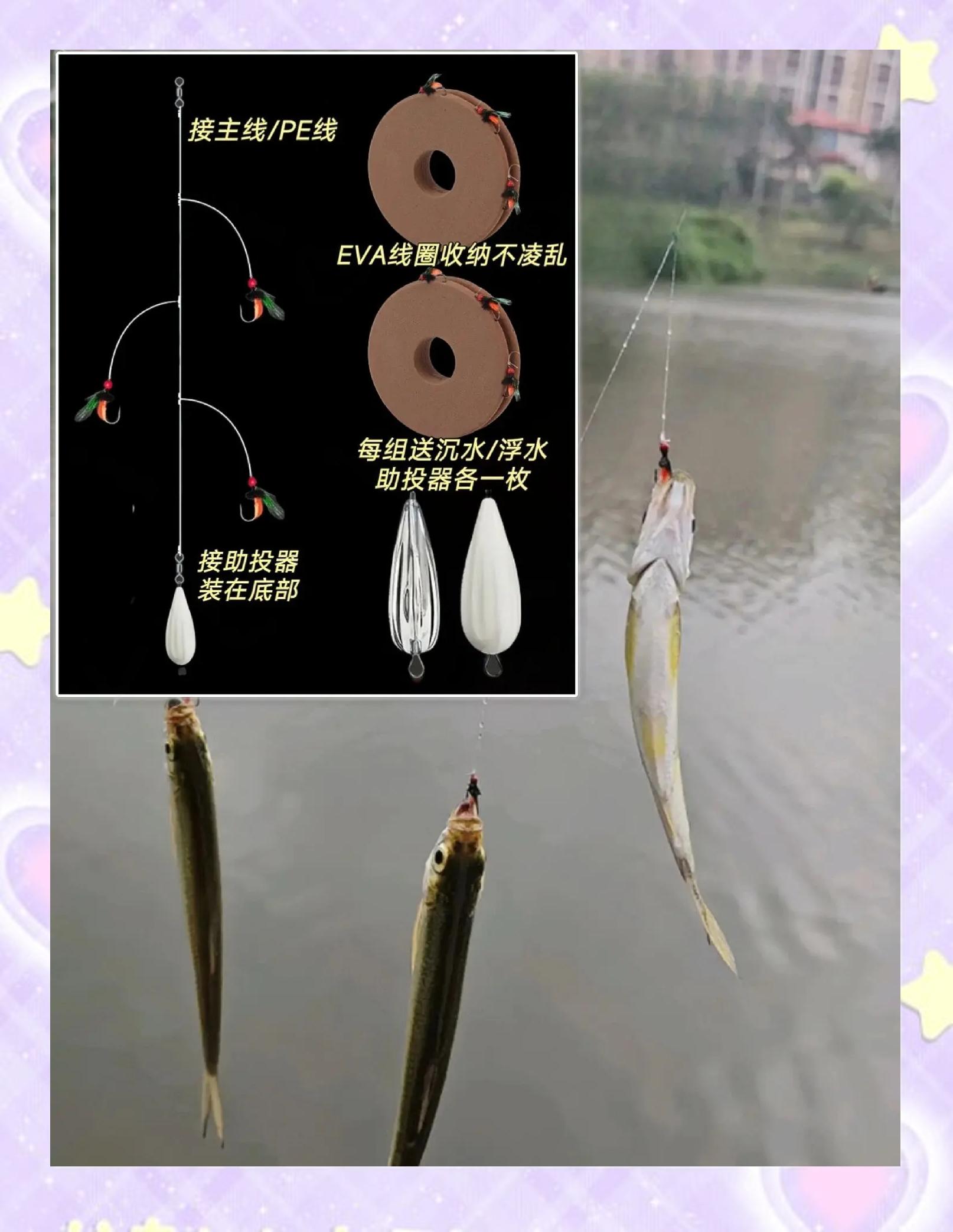 钓白条怎样合饵料(钓白条用什么饵料最好 视频)