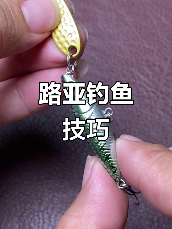 亮片适合海钓吗(亮片可以在海边钓鱼吗)