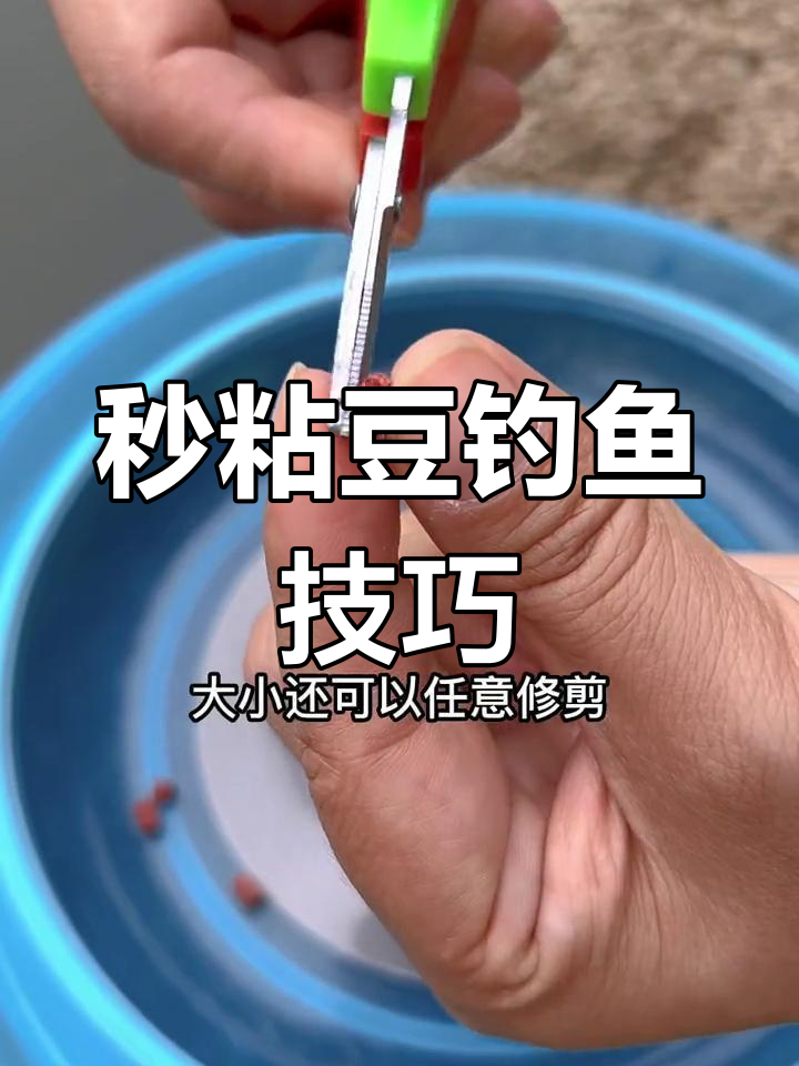 粘颗粒钓鱼技巧(粘颗粒钓鱼技巧视频)