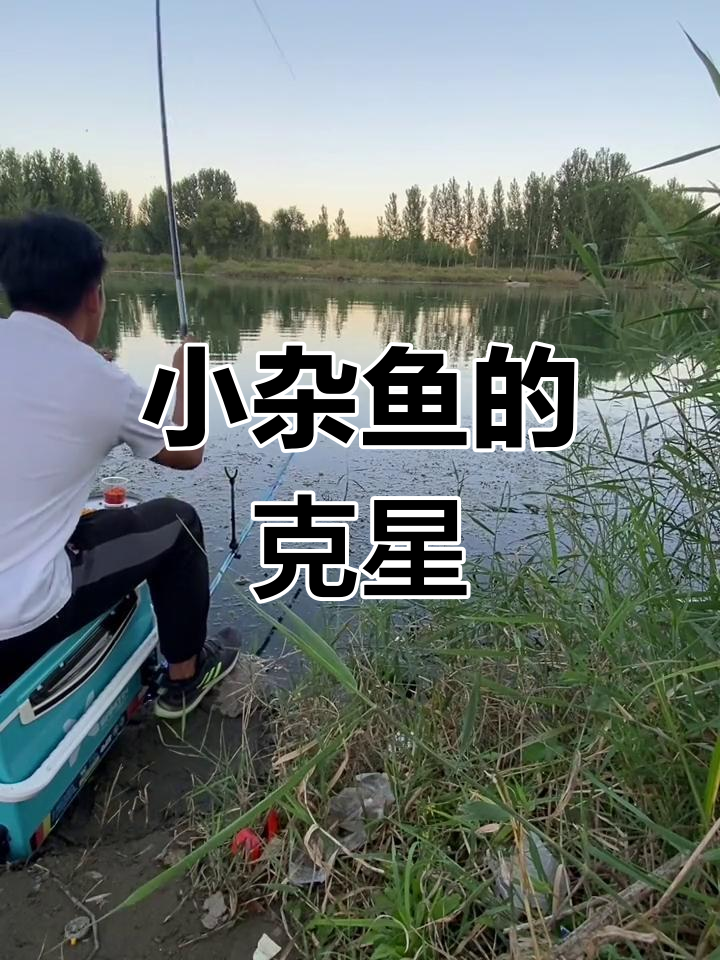 粘颗粒钓鱼技巧(粘颗粒钓鱼技巧视频)