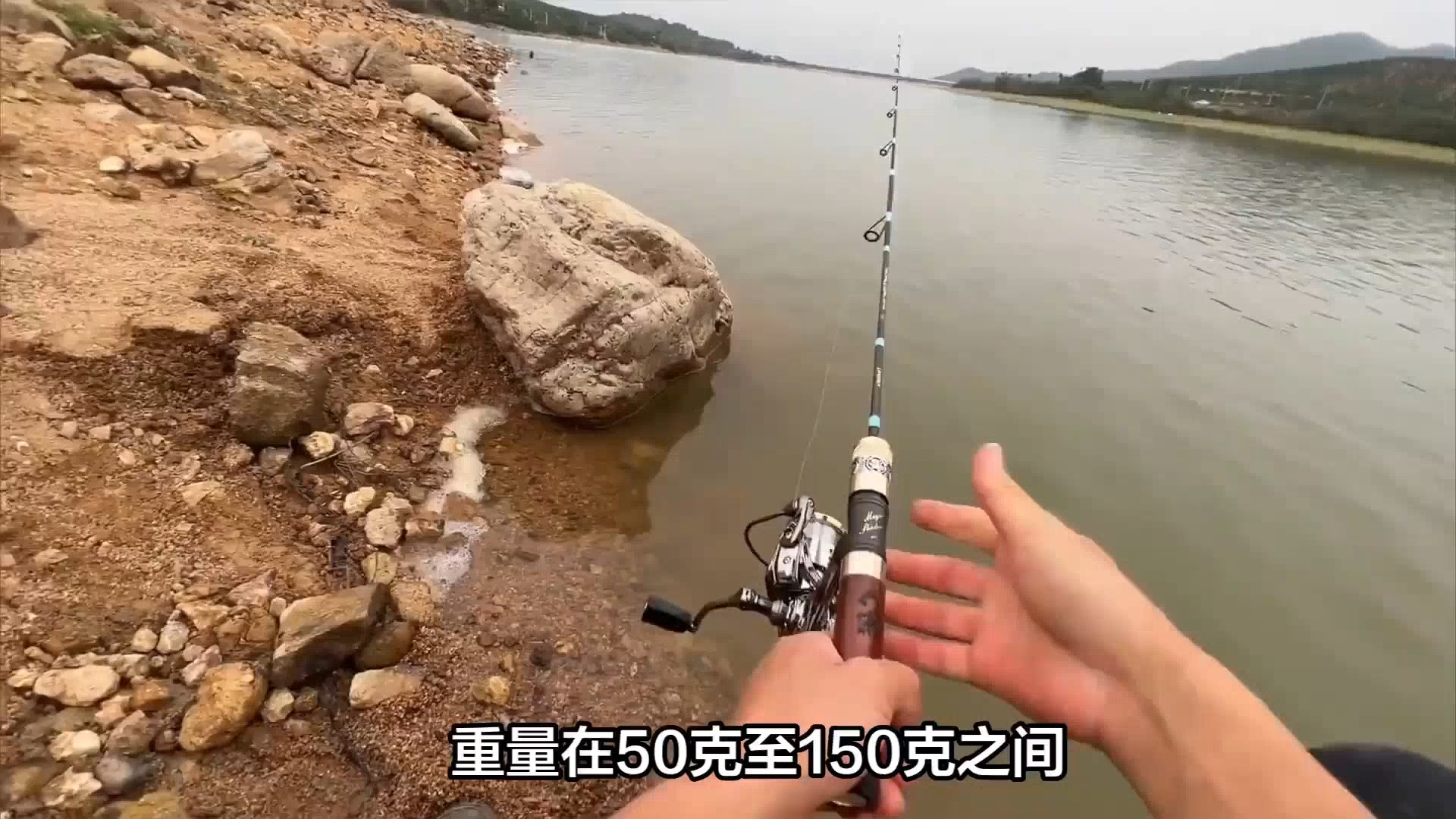 钓泰鲮饵料(泰鲮饵料配方)