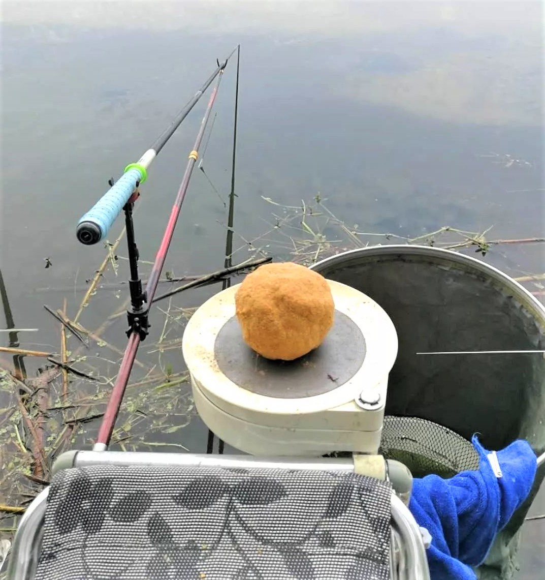 松山湖钓鱼用什么饵料(松山湖钓鱼用什么饵料好)
