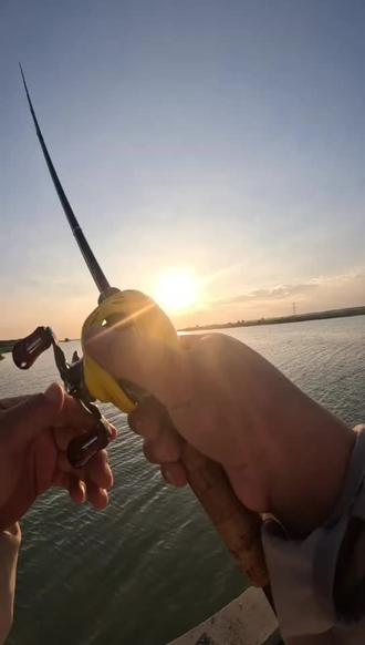 沂水沂河路亚(沂河能玩路亚吗)