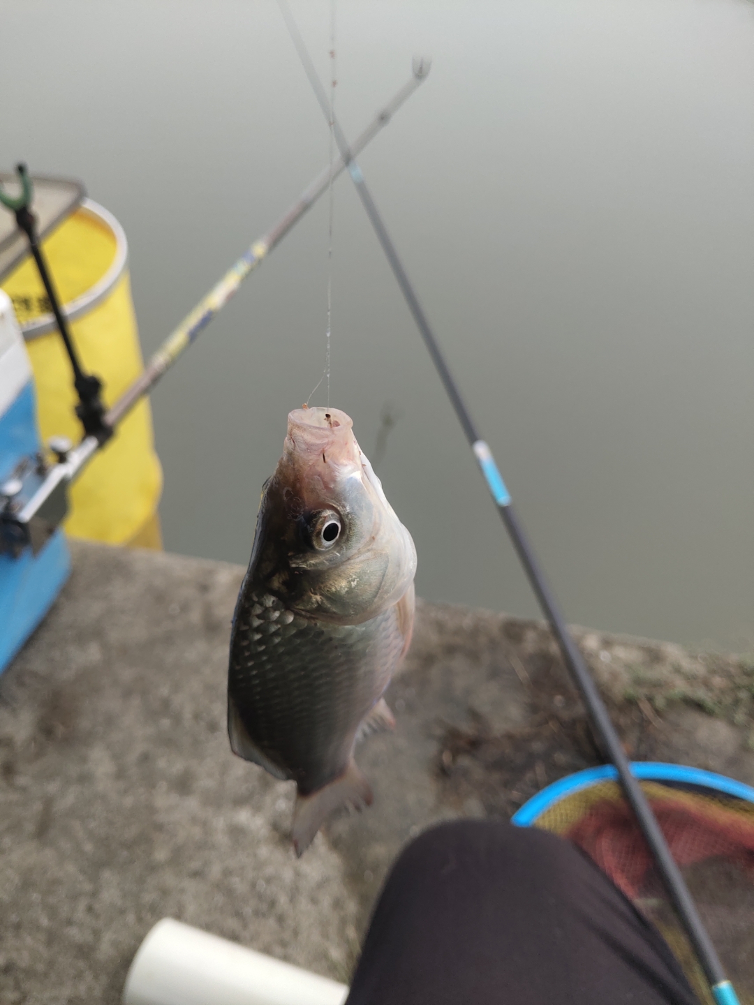 长乐江田海钓(长乐江田村)