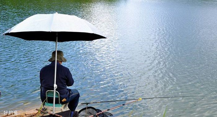 冬天长杆短线钓鱼技巧(冬天长杆短线钓鱼技巧视频)