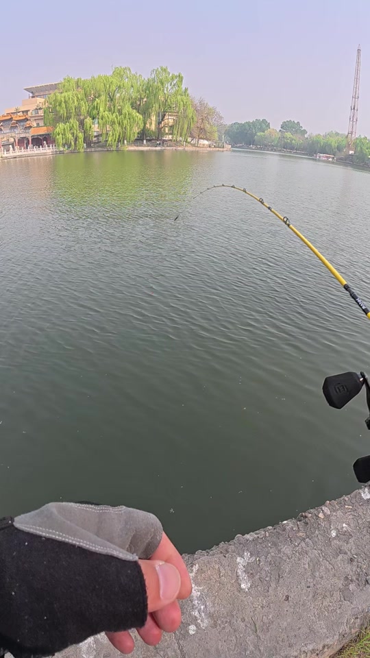 路亚跳底操作技巧(路亚怎么跳)