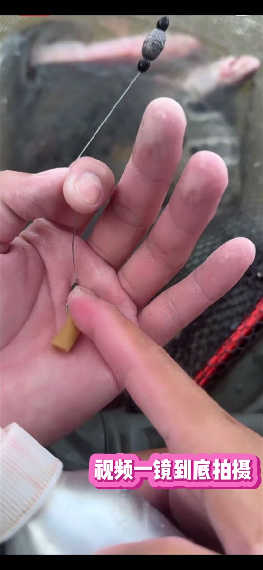 高原饵料(高原鱼价格)