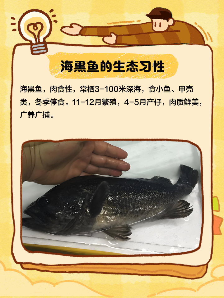 海钓黑头鱼水深(海钓黑头鱼水深多少最好)