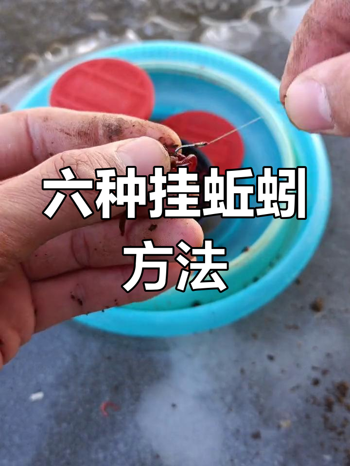蚯蚓钓鲶鱼黑鱼技巧(蚯蚓钓鲶鱼黑鱼技巧和方法)
