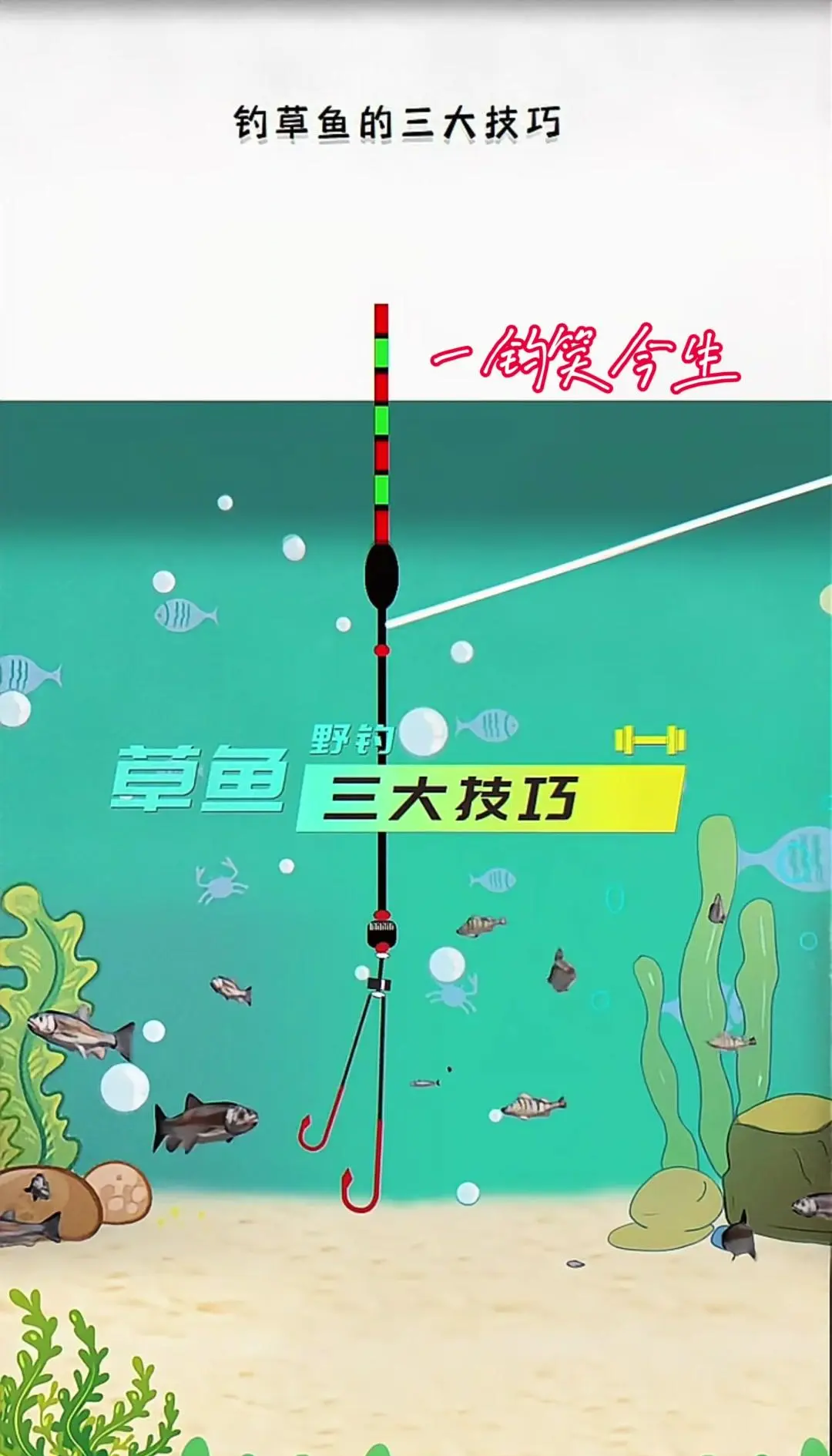 夏钓青鱼技巧(夏天钓青鱼钓深还是钓浅)