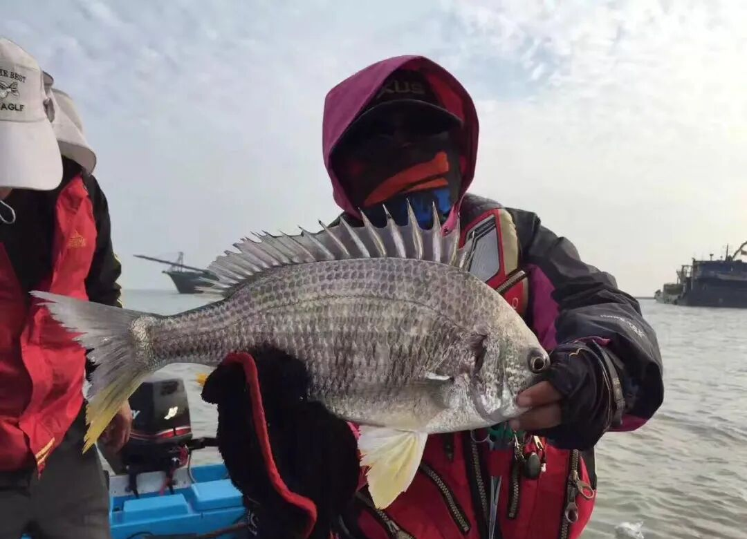 海钓水温5度(水温多少度可以钓海鱼) 海钓水温5度(水温多少度可以钓海鱼)