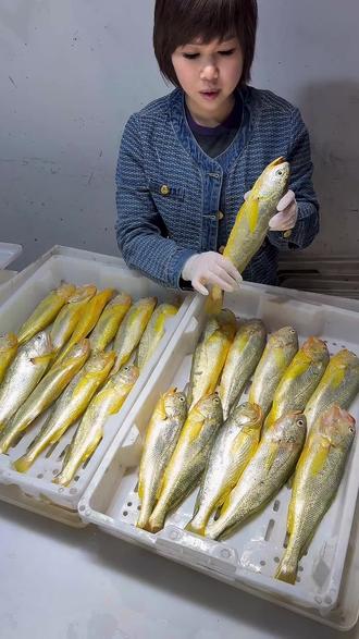 烟台海钓黄鱼(烟台海上钓鱼)