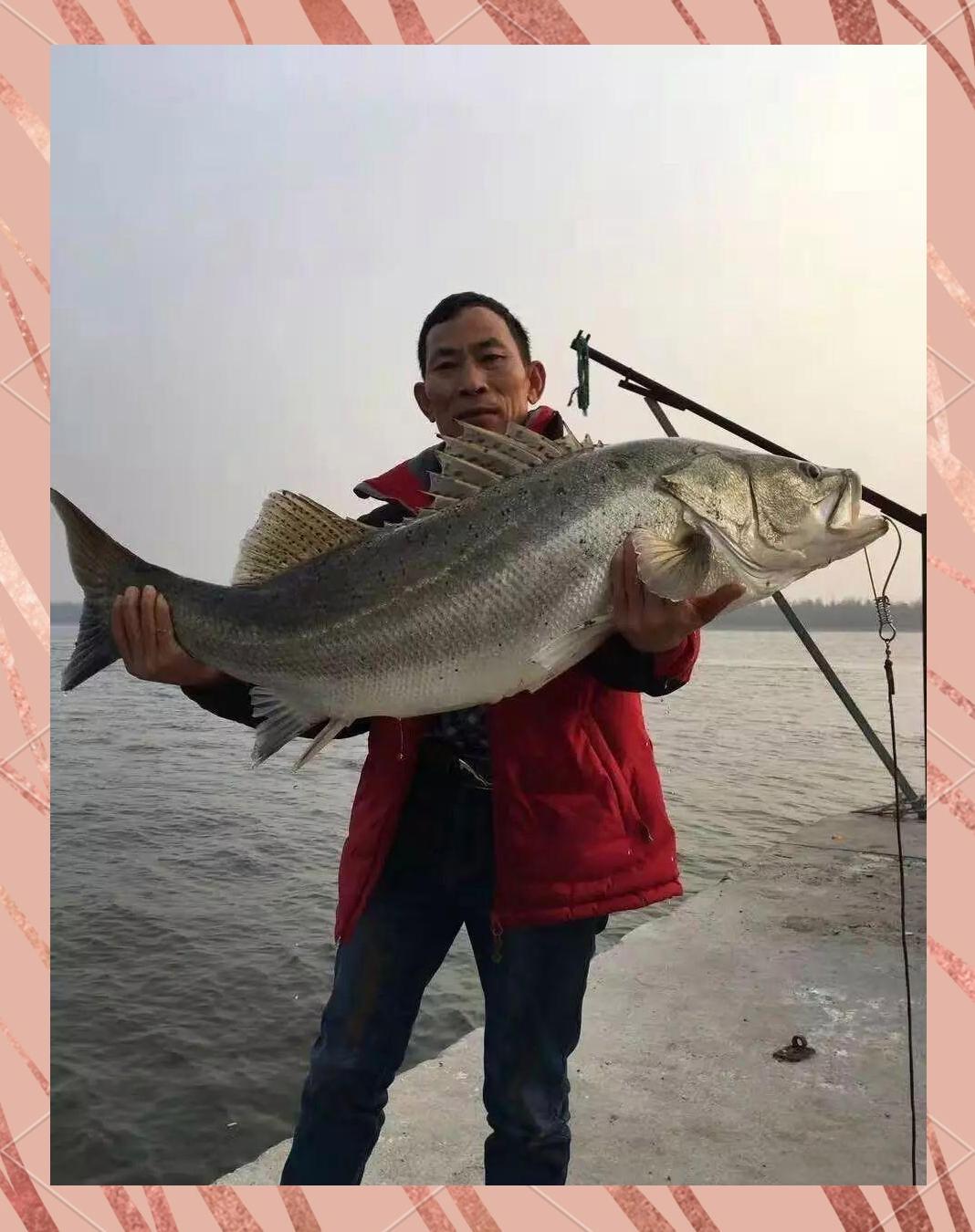 冬季福州海钓(福州海钓鱼体验餐厅)