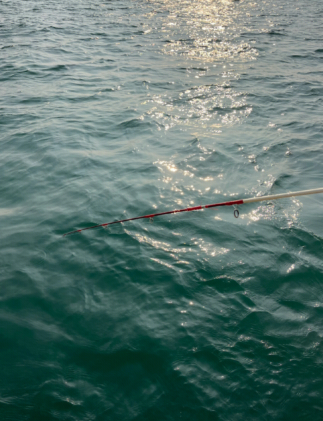 青岛海钓野钓(青岛哪里海钓钓鱼的好地方)
