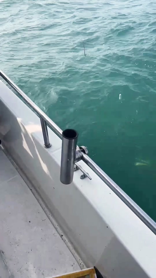 风船海钓(船钓海鲋钓组图解) 风船海钓(船钓海鲋钓组图解)