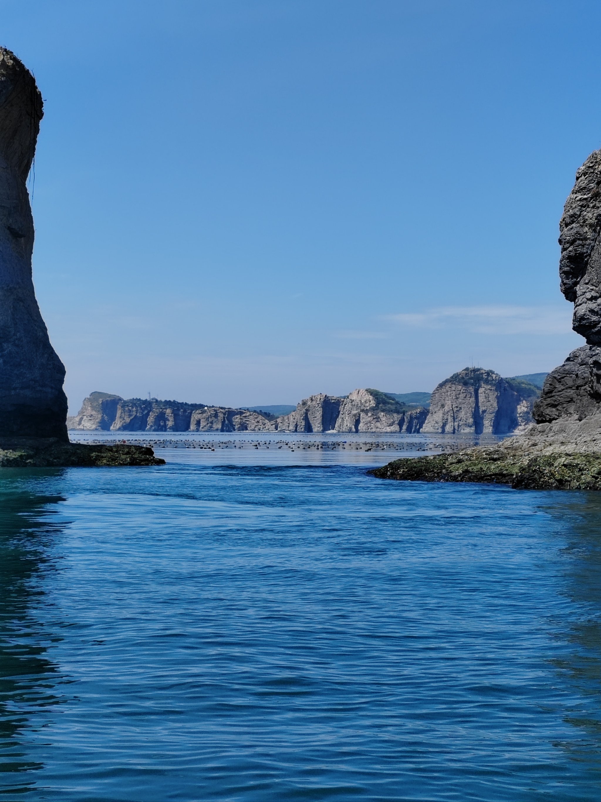 大连海钓鱼网(大连海钓鱼网最新消息)